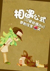 《(口袋妖怪BW)相遇公式》