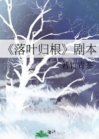《落叶归根》