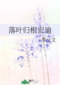 《落叶归根宏迪》