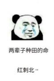 《第九农学基地》