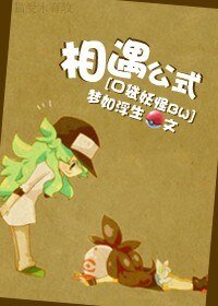 《(口袋妖怪BW/BG)相遇公式》